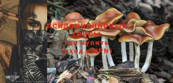 эйфоретик Горнозаводск