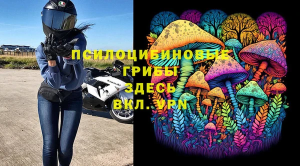 spice Гусиноозёрск