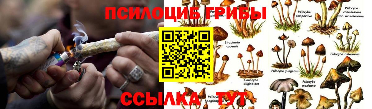 Галлюциногенные грибы мухоморы  Вход с VPN  Вязьма 