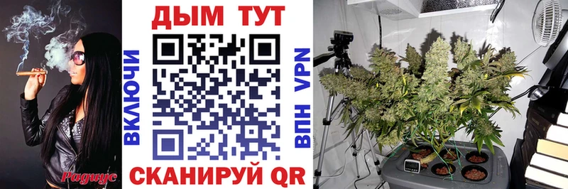 наркотики  Вязьма  Шишки марихуана LSD WEED 